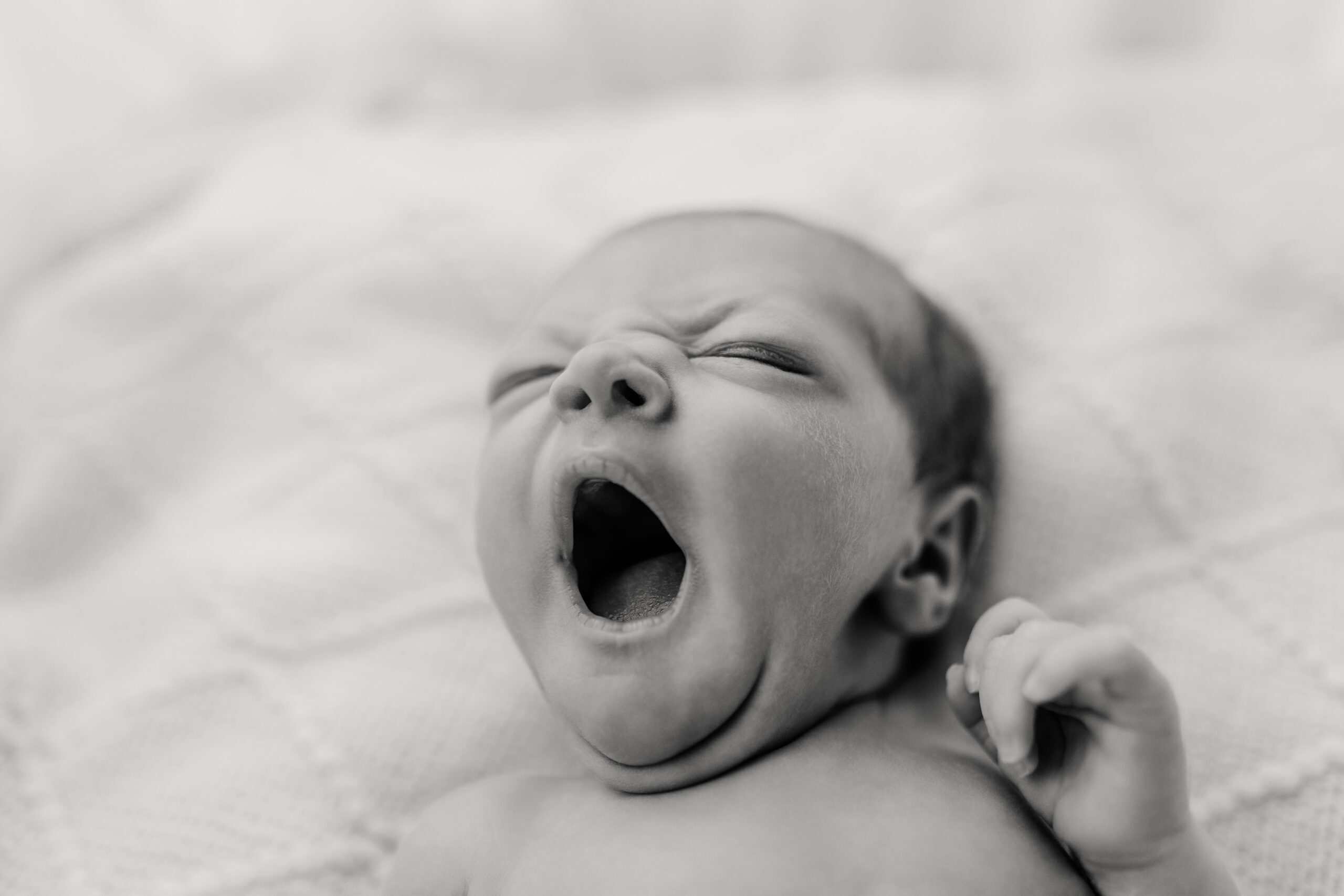 Familienfotos Babybilder Fotograf Würzburg