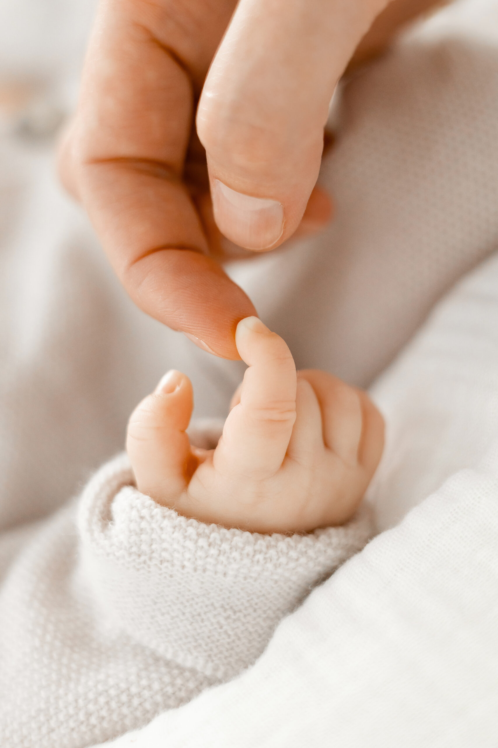 Familienfotos Babybilder Fotograf Würzburg